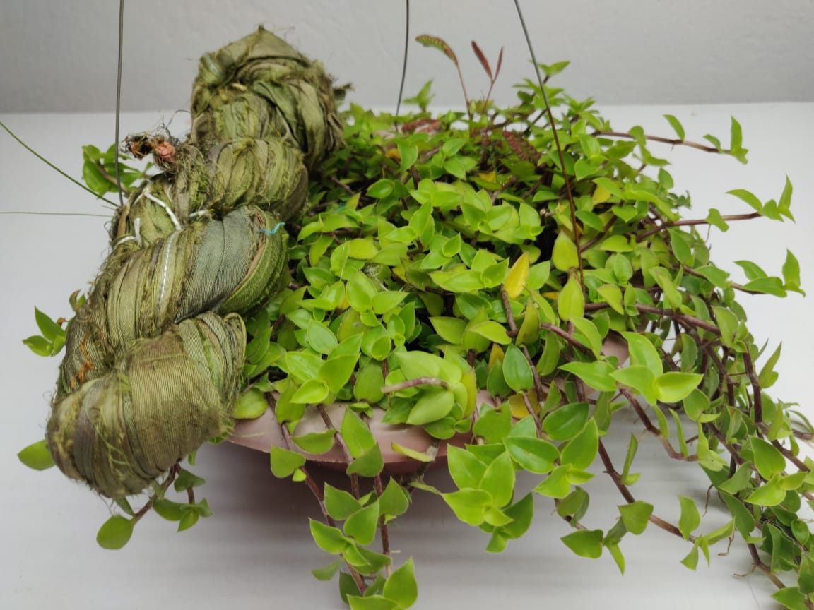 recycled sari silk ribbon, ribbon yarn,  sari silk yarn, sari silk ribbon yarn, recycle sari silk, Sari Ribbon, sari silk ribbon, ribbon, sari silk ribbon yarn, sari silk ribbon, Sari Ribbon, ribbon yarn, recycle sari silk