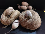 Tussar Silk Yarn is wide silk made up of tussar cocoons. This wild silk is only produced in India and it is available from October to January. We are counted amongst reckoned names in the industry, committed towards offering a wide assortment of Tussar Silk Yarn. Silk yarns are produce by Underprivileged Hand spinners from Eastern Indi