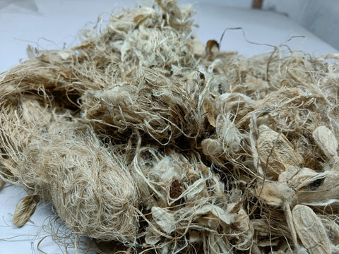 Kibisu Silk Fiber Waste | Kibisu Fiber | Kibisu Waste | Kibisu raw Silk Fiber | nettle Fibre | stinging nettle fiber | natural fiber | SilkRouteIndia