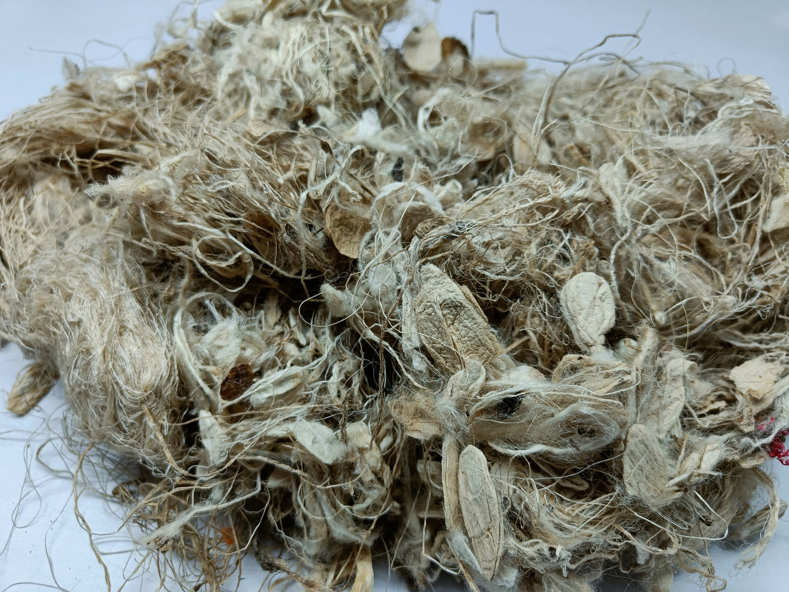 Kibisu Silk Fiber Waste | Kibisu Fiber | Kibisu Waste | Kibisu raw Silk Fiber | nettle Fibre | stinging nettle fiber | natural fiber | SilkRouteIndia