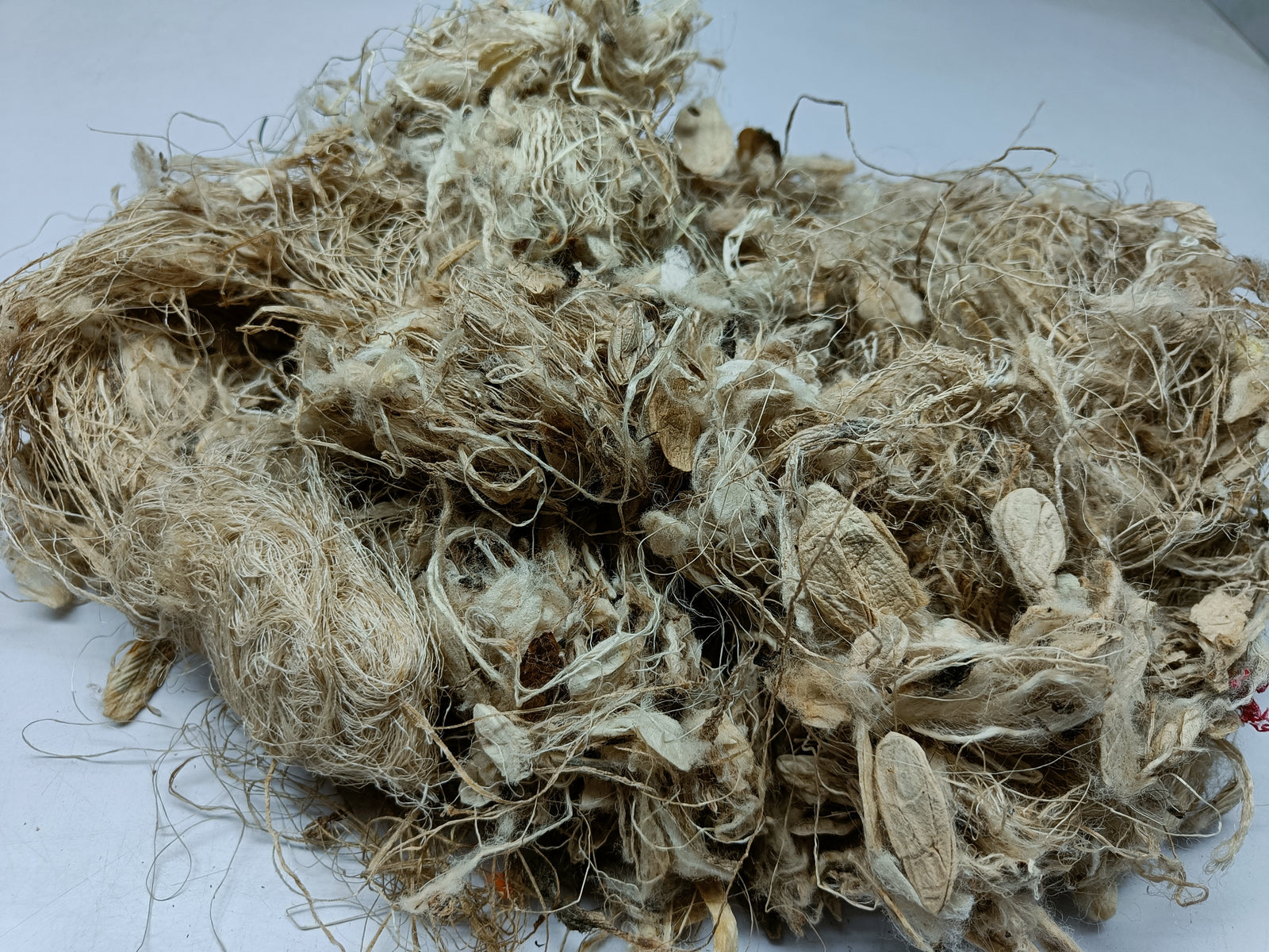Kibisu Silk Fiber Waste | Kibisu Fiber | Kibisu Waste | Kibisu raw Silk Fiber | nettle Fibre | stinging nettle fiber | natural fiber | SilkRouteIndia