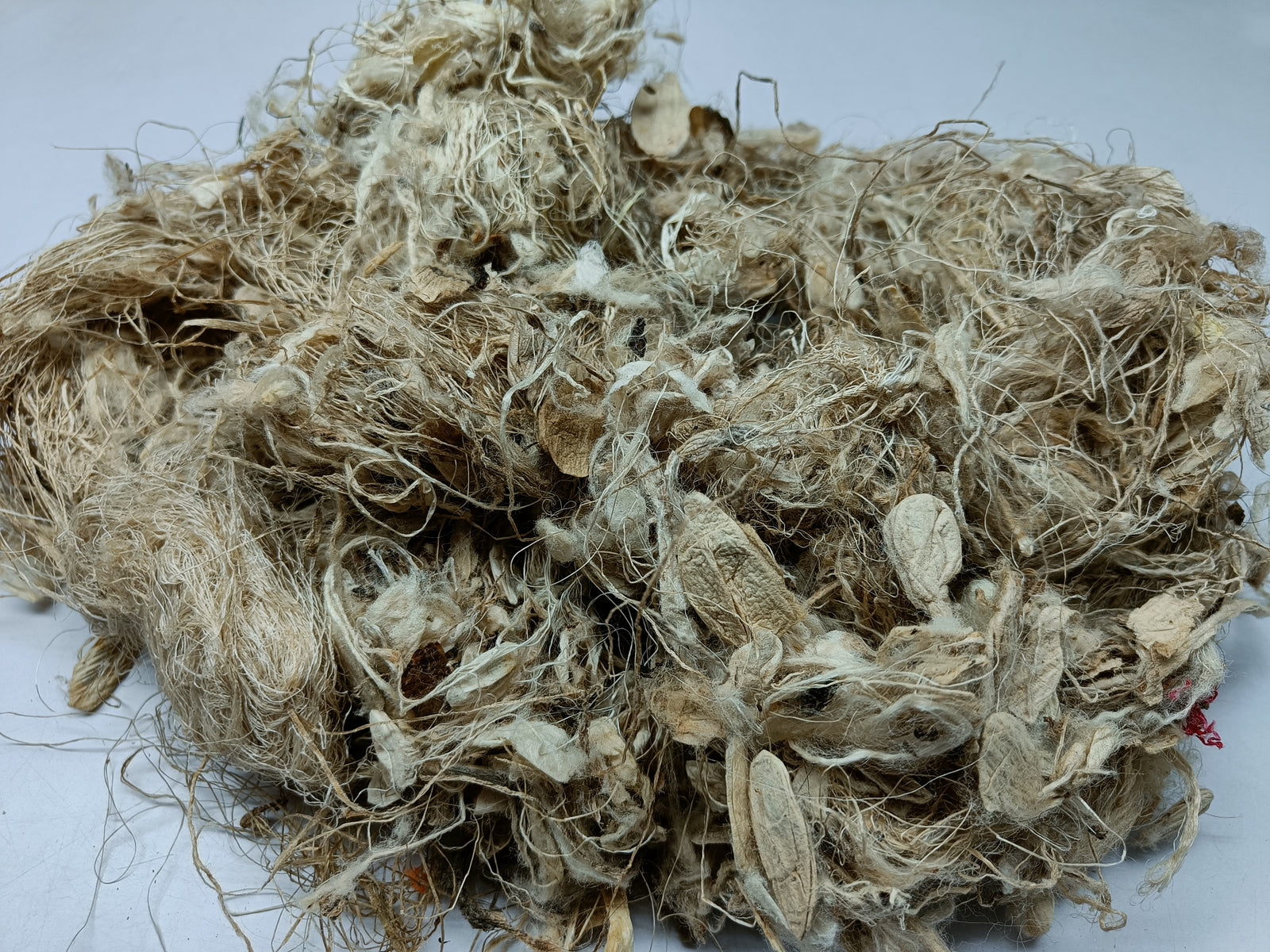 Kibisu Silk Fiber Waste | Kibisu Fiber | Kibisu Waste | Kibisu raw Silk Fiber | nettle Fibre | stinging nettle fiber | natural fiber | SilkRouteIndia