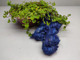 Recycled Sari Silk Ribbon - Navy Blue