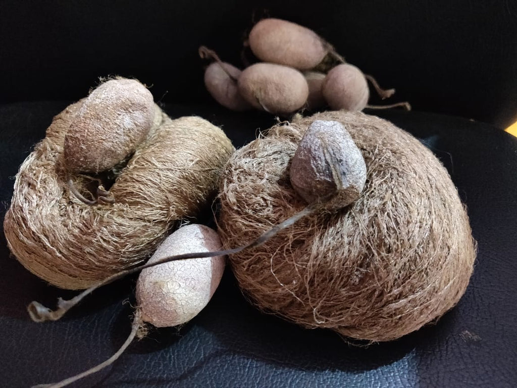 Tussar Silk Yarn is counted amongst reckoned names in the industry, committed towards offering a wide assortment of Tussar Silk Yarn.