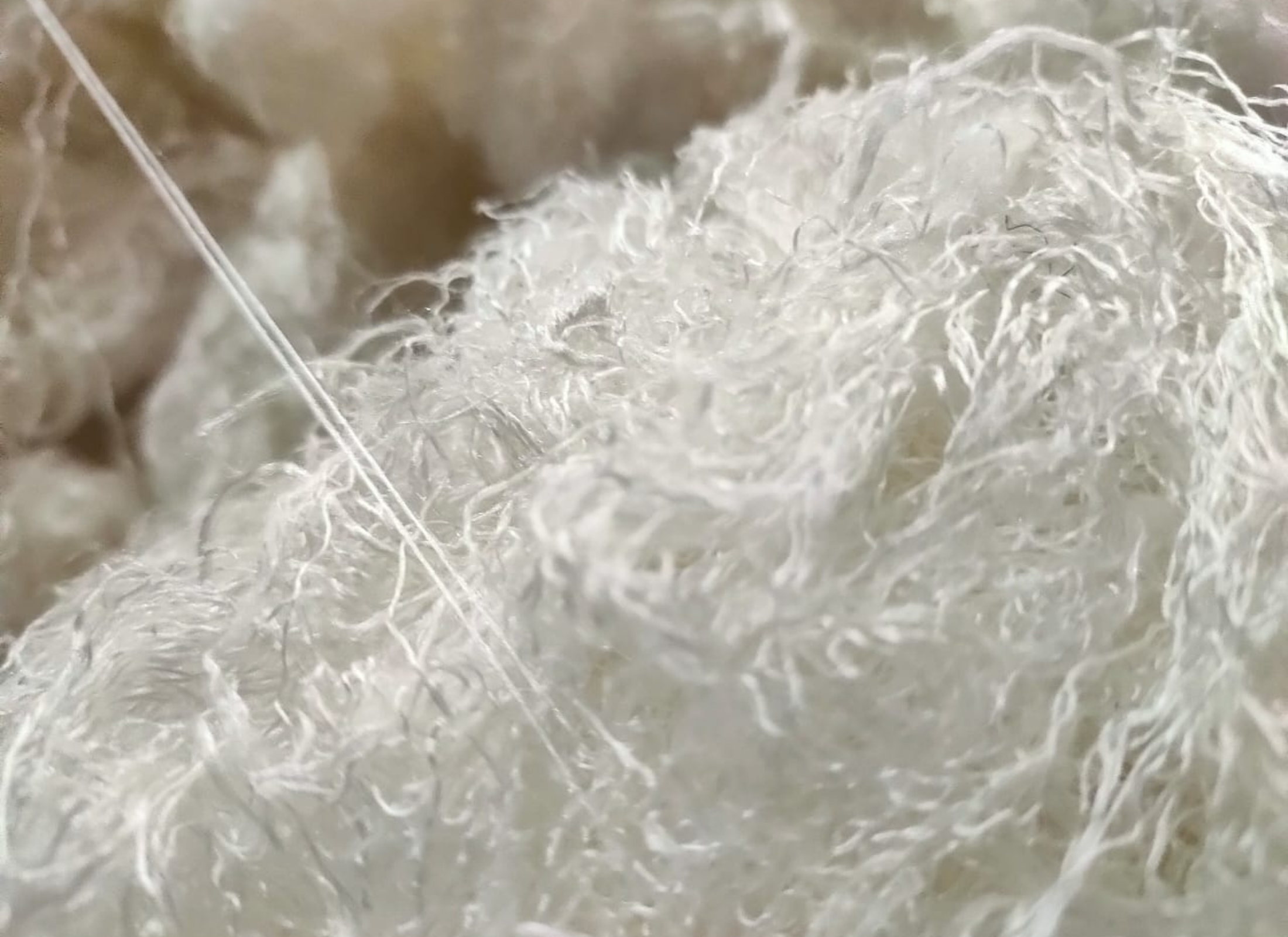 Throwster Silk Fiber - Undyed