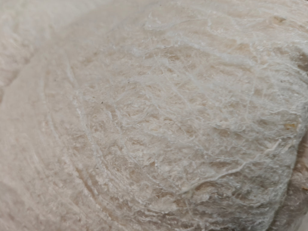 Mulberry Silk Cocoon Sheet